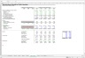 Working Capital - Excel Model Template