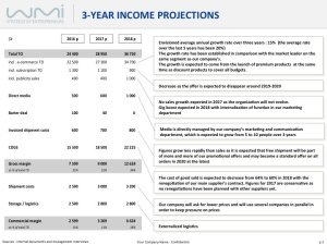Critical Analysis of a Venture P&L