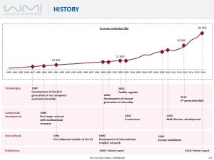 History of a company
