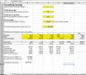 FCFF (Free Cash Flow for the Firm) Excel Model with exposure to country risk