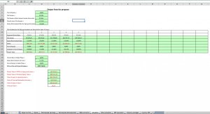 FCFE (Free Cash Flow to Equity) Valuation Model