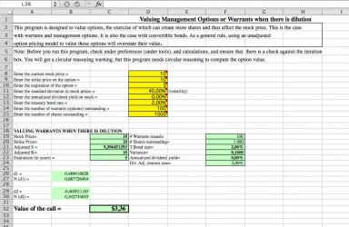 Warrants and Management Options - Excel Valuation Model