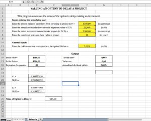 Estimating the Value of Delaying an Investment Project