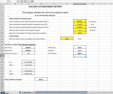 Estimating the Value of the Option to Expand an Investment Project