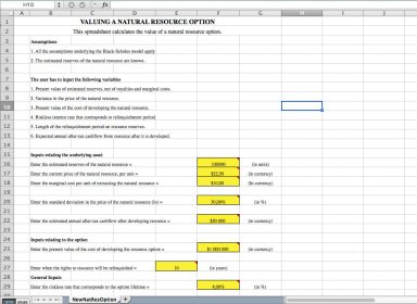 Valuing a Natural Resource Option