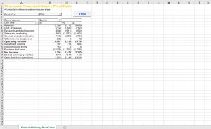 Financial History Pivot Table