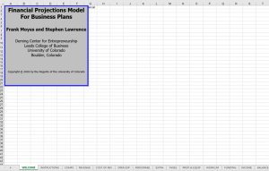 Financial Projections Model for Business Plans