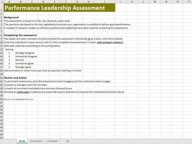 Performance Leadership Assessment