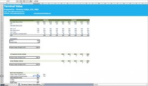 Terminal Value Calculation Excel Template