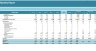 Management Accounting and Coporate Budget Report Excel Template