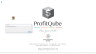 ProfitQube™ Consolidation for Production, Trade and Services Organizations (Excel/VBA, release 1.0.3)