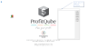 ProfitQube™ Consolidation for Production, Trade and Services Organizations (Excel/VBA, release 1.0.3)