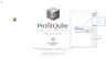 ProfitQube™ Consolidation for Production, Trade and Services Organizations (Excel/VBA, release 1.0.3)