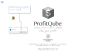 ProfitQube™ Consolidation for Production, Trade and Services Organizations (Excel/VBA, release 1.0.3)