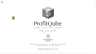 ProfitQube™ Consolidation for Production, Trade and Services Organizations (Excel/VBA, release 1.0.3)