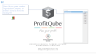 ProfitQube™ Consolidation for Production, Trade and Services Organizations (Excel/VBA, release 1.0.3)