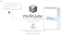 ProfitQube™ Consolidation for Production, Trade and Services Organizations (Excel/VBA, release 1.0.3)