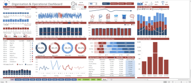 Whole of Organisation Excel Dashboard