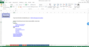 Slow Moving Consumer Goods (SMCG) - Financial Excel Model