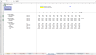 Slow Moving Consumer Goods (SMCG) - Financial Excel Model