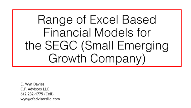 Excel based models for the Small Emerging Growth Company