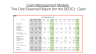 Excel based models for the Small Emerging Growth Company