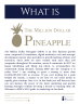 The 1st time founders guide to Facebook Marketing - Page 4