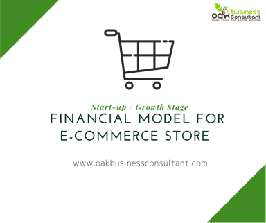 E-commerce Store Financial Model