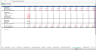 SaaS (Software as a Service) Financial Excel Model