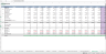 SaaS (Software as a Service) Financial Excel Model