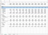 Startup Financial Model