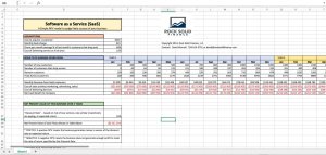 SaaS Model - Net Present Value for Simple Web Business