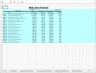 Sample Financial Model