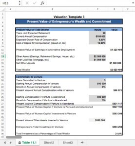 Present Value of Entrepreneur's Wealth and Commitment