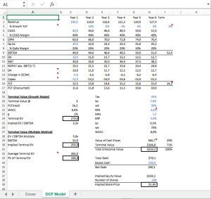 Discounted Cash Flow (DCF) Model (Academic Quality)