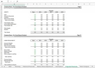 Leveraged Buyout Model for Private Equity Professionals - Eloquens