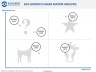 BCG Growth Share Matrix Template