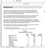 Business Valuation Template