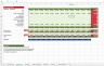 Internet Business Financial Model SIBM - Spartina