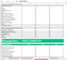 Startup Financial Plan Template
