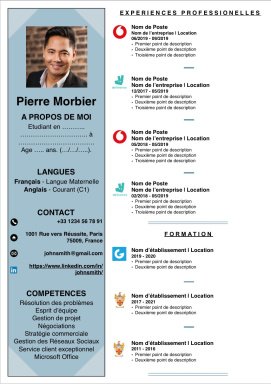 Strong French CV and Cover Letter Templates (for Word and Pages)