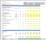 Discounted Cash Flow (DCF) Valuation Model with 3 Years Actual and 5 Years forecast- Airlines