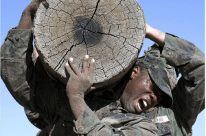 How to How to perform as well as US Navy Sailors image