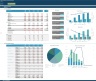 Consultancy Startup/Existing Business Financial Projection 3 Statement Excel Model