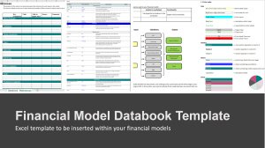 Financial Model Assumption Book