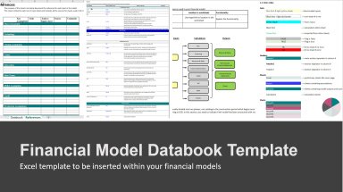 Financial Model Assumption Book