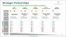 Strategic Partnerships - Powerpoint Tool
