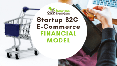 Startup B2C E-Commerce Store Financial Model