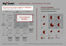 Market Analysis - Crisis Scenarios Template