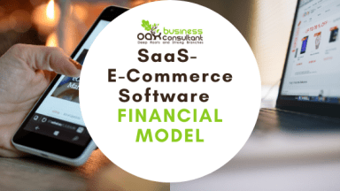 SaaS E-commerce Software - Financial Model